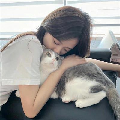 熊猫回家路