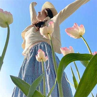 疯狂的麦咭第八季