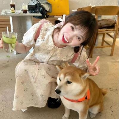 我的拳王男友